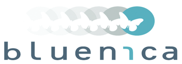 bluenica logo